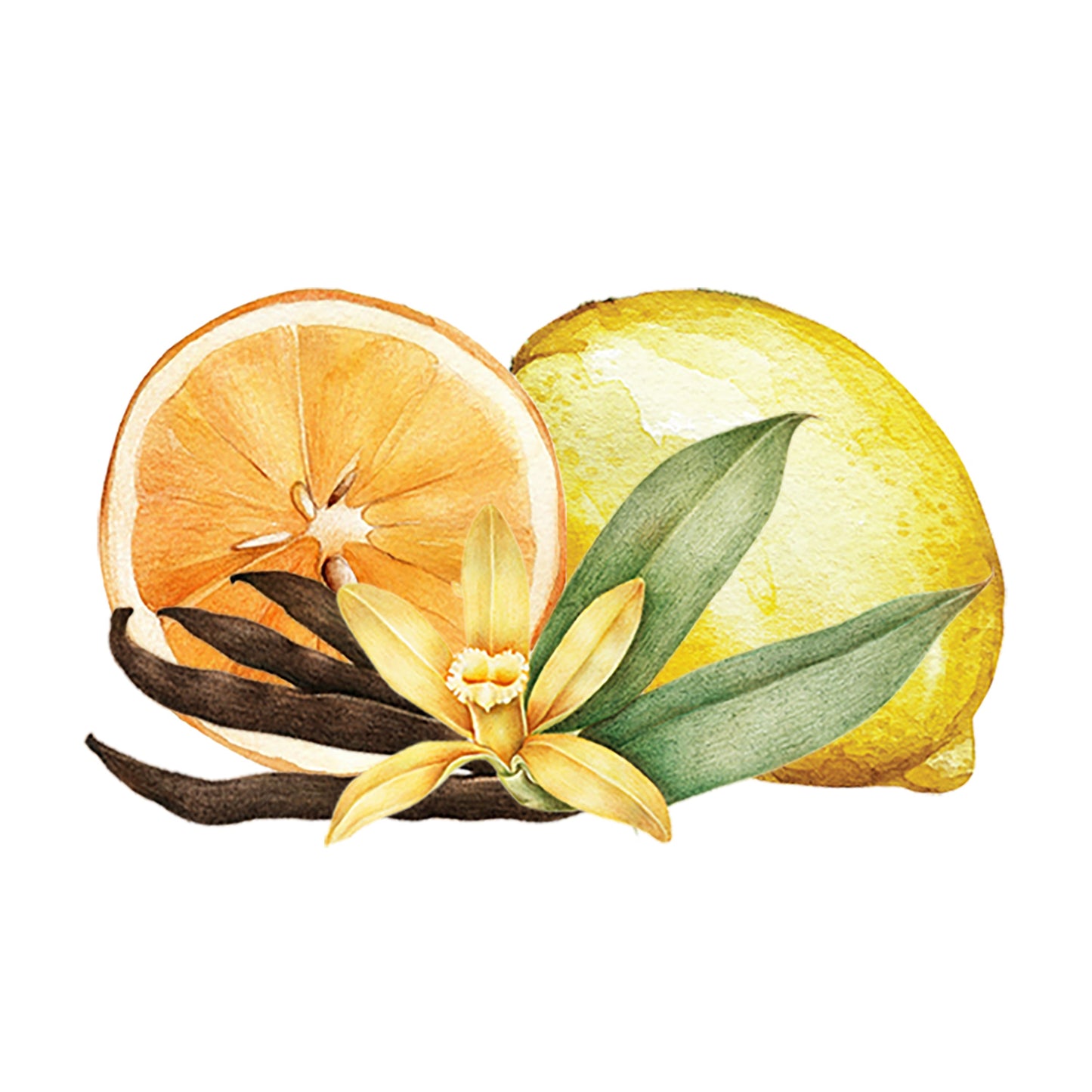 An artful depiction of Citrus & Vanilla EO / FO Blend by Rustic Strength—whole lemon, halved grapefruit, green leaves, vanilla beans, and a yellow flower—captures the essence of fresh essential oils on a white background.