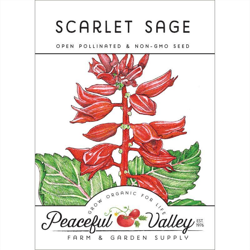Pack of Grow Organic Scarlet Sage flower seeds showing vibrant red flower buds and green foliage.