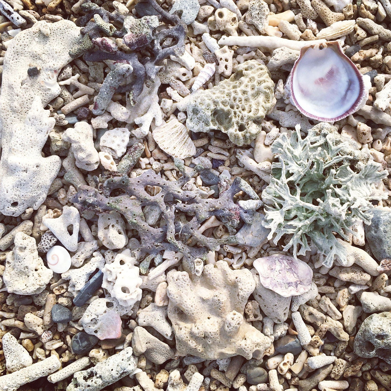 Drift BathTime Rocks (Set of 6) - Blessings Grow Meadows