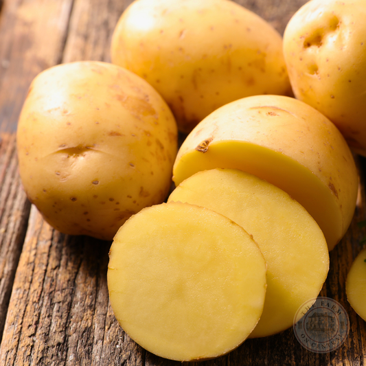Fresh Satina high-yielding potatoes with German heritage, displayed in a basket on a farm table.