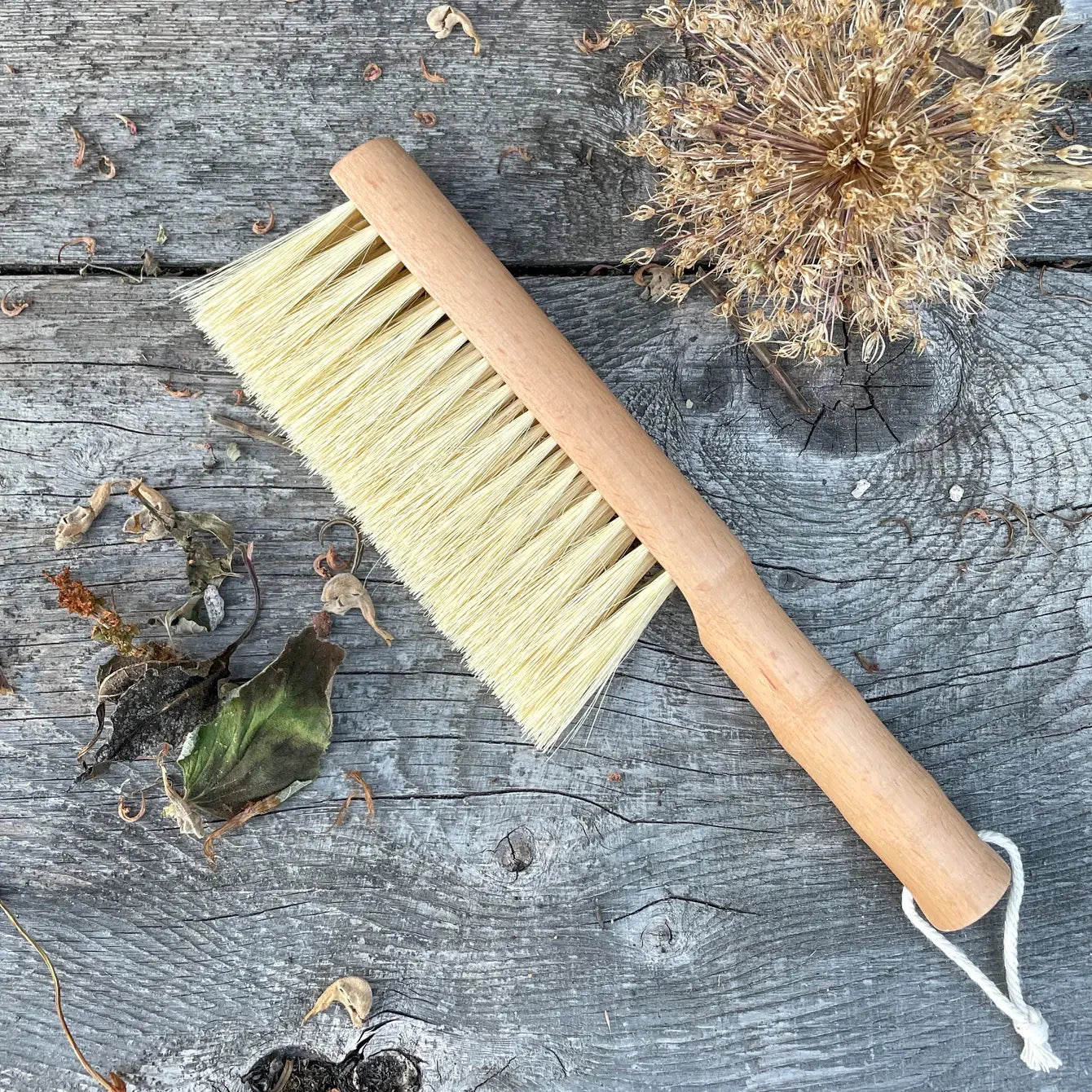 Seattle Seed Company multi-purpose gardener's brush with wooden handle and durable bristles for gardening and plant care.