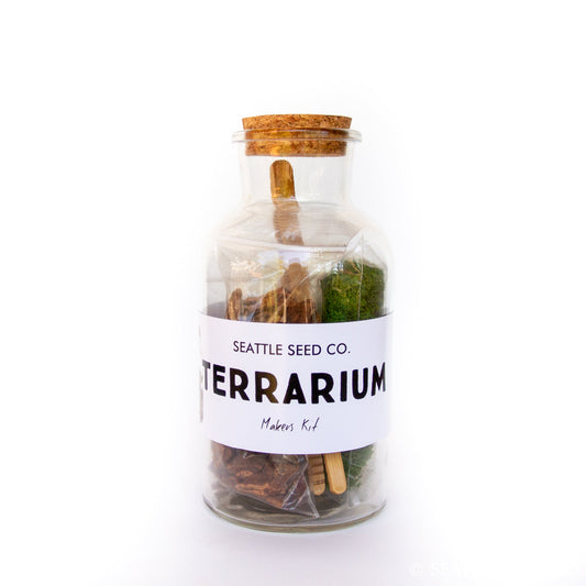 DIY terrarium kit from Seattle Seed Company with glass container, plants, soil, and decorative elements for creating a miniature indoor garden.