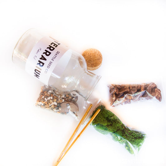 DIY terrarium kit from Seattle Seed Company with glass container, soil, plants, and decorative elements for creating a mini indoor garden.