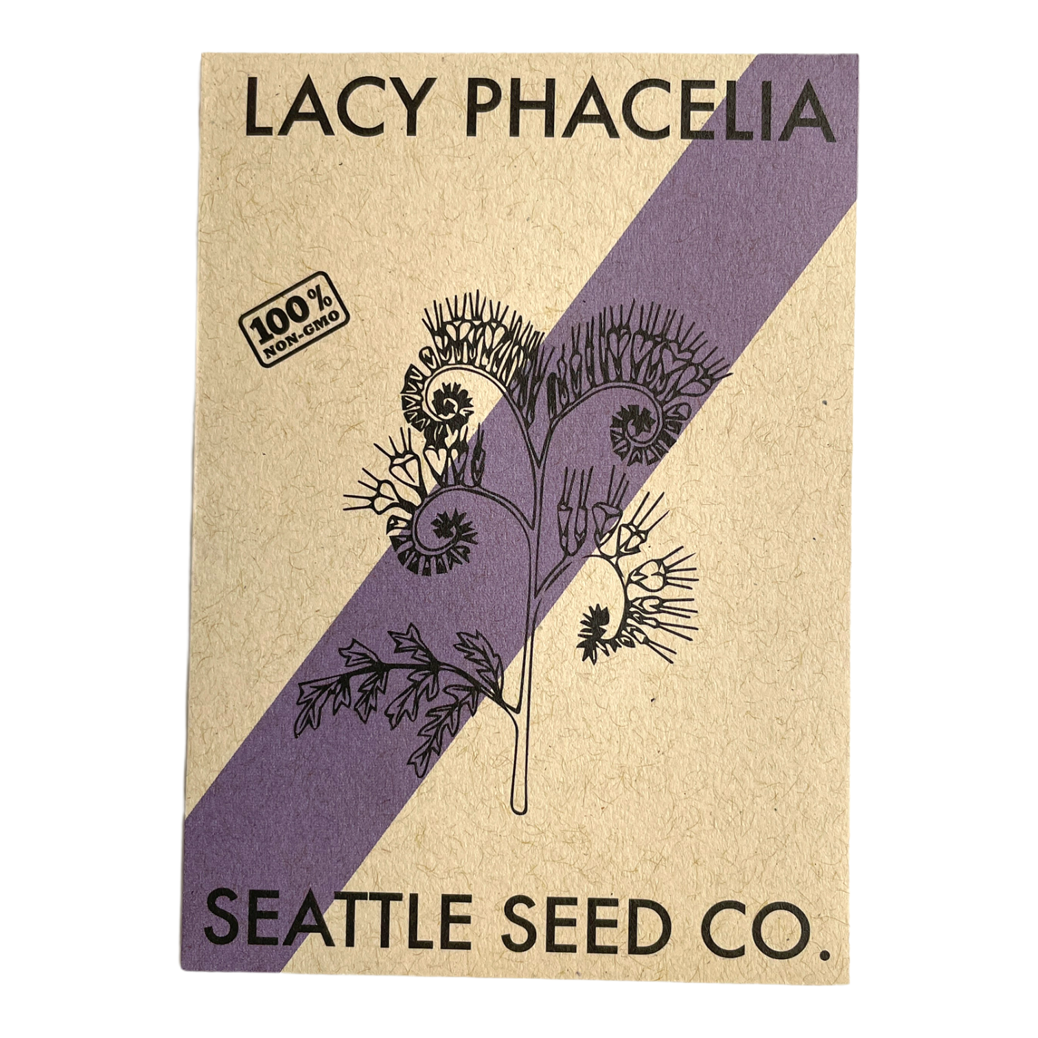 Lacy Phacelia - Blessings Grow Meadows