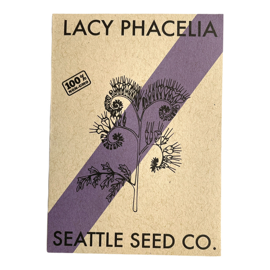 Lacy Phacelia - Blessings Grow Meadows