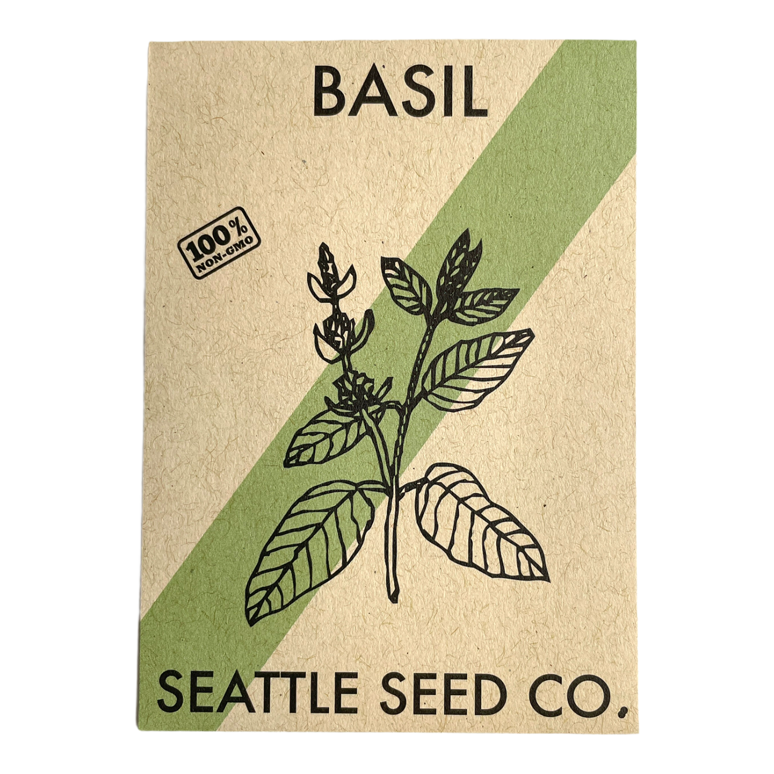 Fresh Italian large leaf basil herb from Seattle Seed Company, vibrant green leaves ideal for cooking and garnishing.