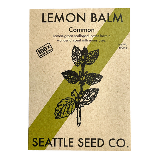 Fresh Lemon Balm herb plant from Seattle Seed Company, showcasing vibrant green leaves and leafy stems.