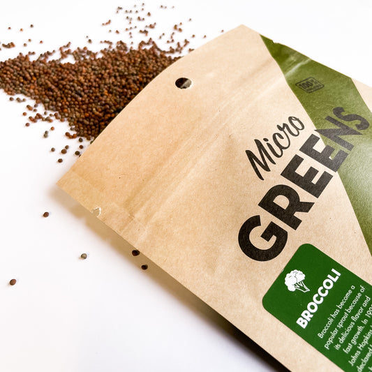 Fresh broccoli microgreens grown by Seattle Seed Company, vibrant green microgreens perfect for salads and garnishes.