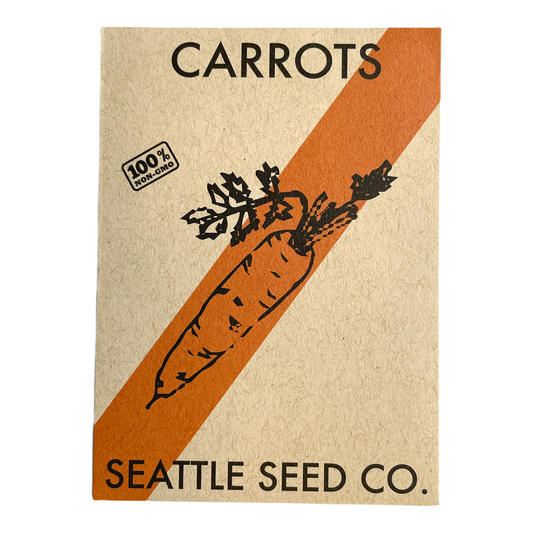 Fresh Chantenay Red Core carrots from Seattle Seed Company, showcasing vibrant orange roots with red-tinted cores on a garden bed.