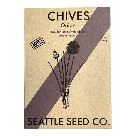 Fresh onion chives from Seattle Seed Company, green herbs with long slender leaves, ideal for garnishing and cooking.