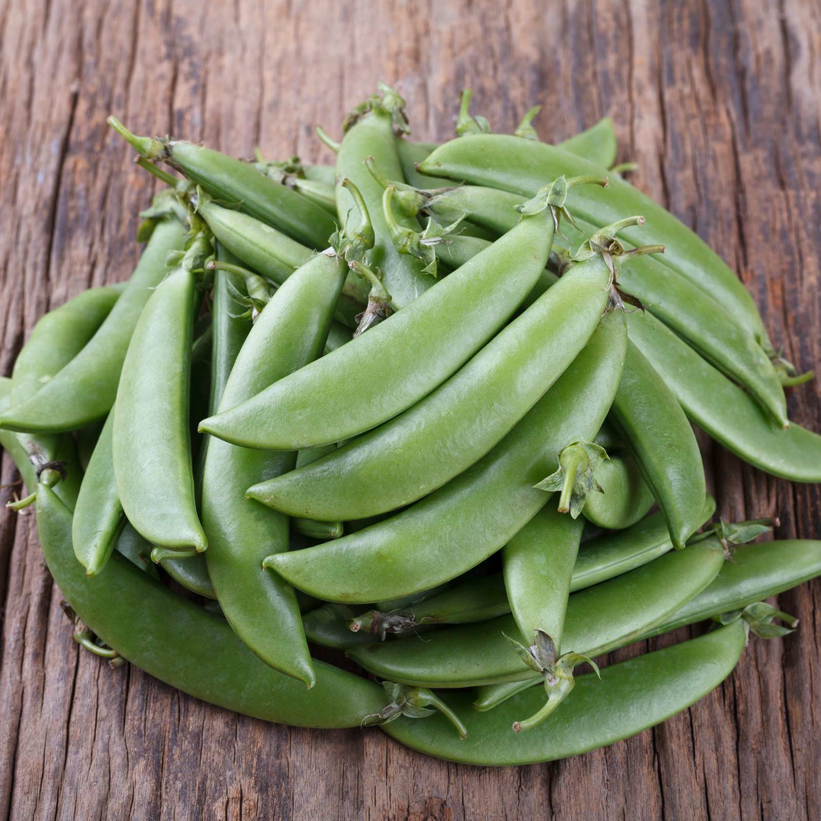 Fresh sugar snap peas from Seattle Seed Company, vibrant green vegetables with plump pods and tender peas inside.