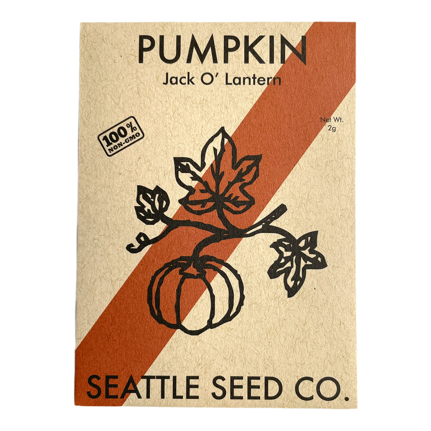 Bright orange Jack 'O Lantern pumpkin from Seattle Seed Company, showcasing its carved face and round shape.