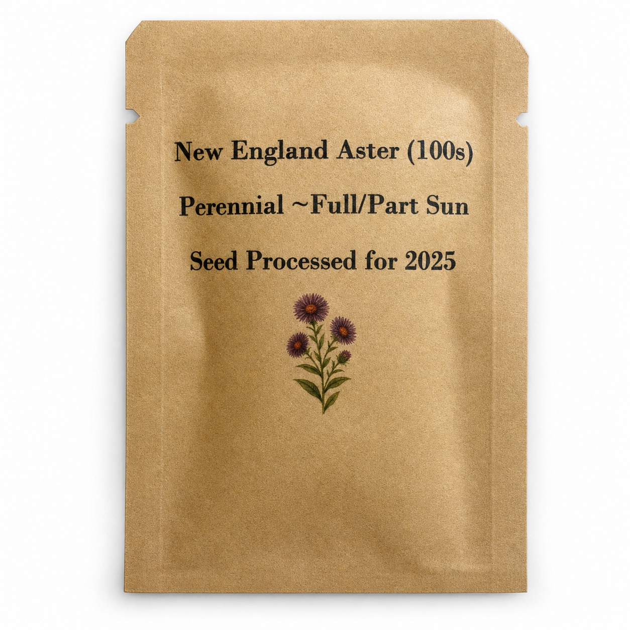 New England Aster Seeds - Native Fall Bloomer, Pollinator-Friendly, 100 Count