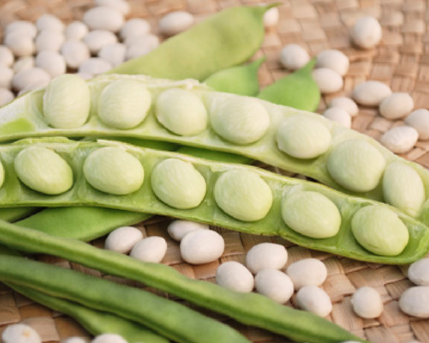 Lazy Housewife Bean Seeds - Blessings Grow Meadows