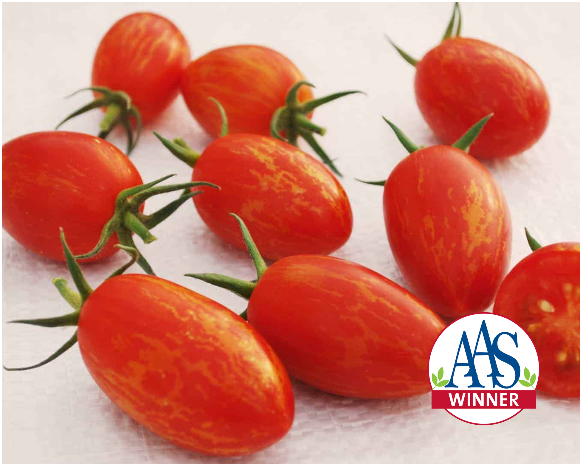 Red Torch Hybrid Tomato Seeds - Blessings Grow Meadows