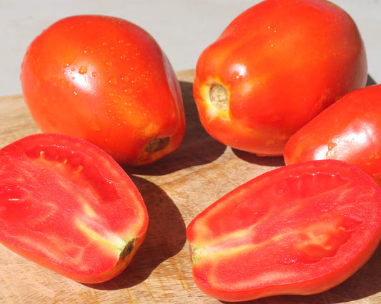 Yaqui Hybrid Tomato Seeds - Blessings Grow Meadows