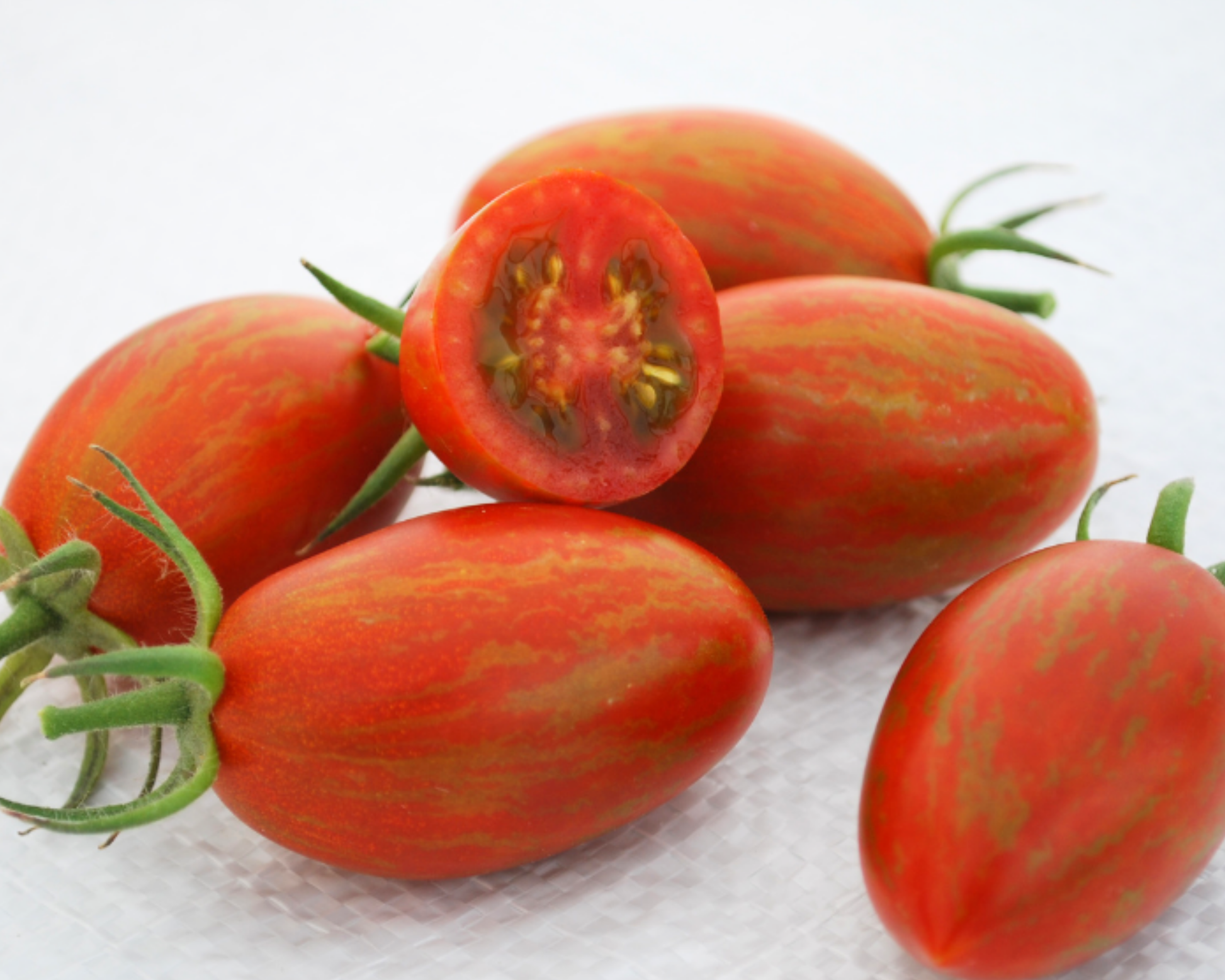 Bronze Torch Hybrid Tomato Seeds packet from Seeds 'n Such showing 10 to 15 seeds, ideal for home gardening and vegetable cultivation.