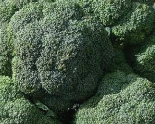 Packet of Seeds 'n Such De Cicco broccoli seeds showing 100 seeds in the packet for planting and gardening.