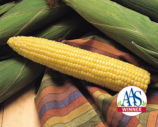 Yellow Honey Select Corn Seeds packet from Seeds 'n Such showing 100 corn seeds in a vibrant yellow packet.