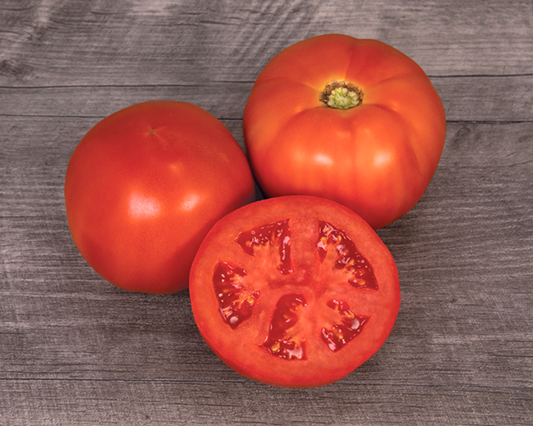 Mountain Man Hybrid Tomato Seeds - Blessings Grow Meadows