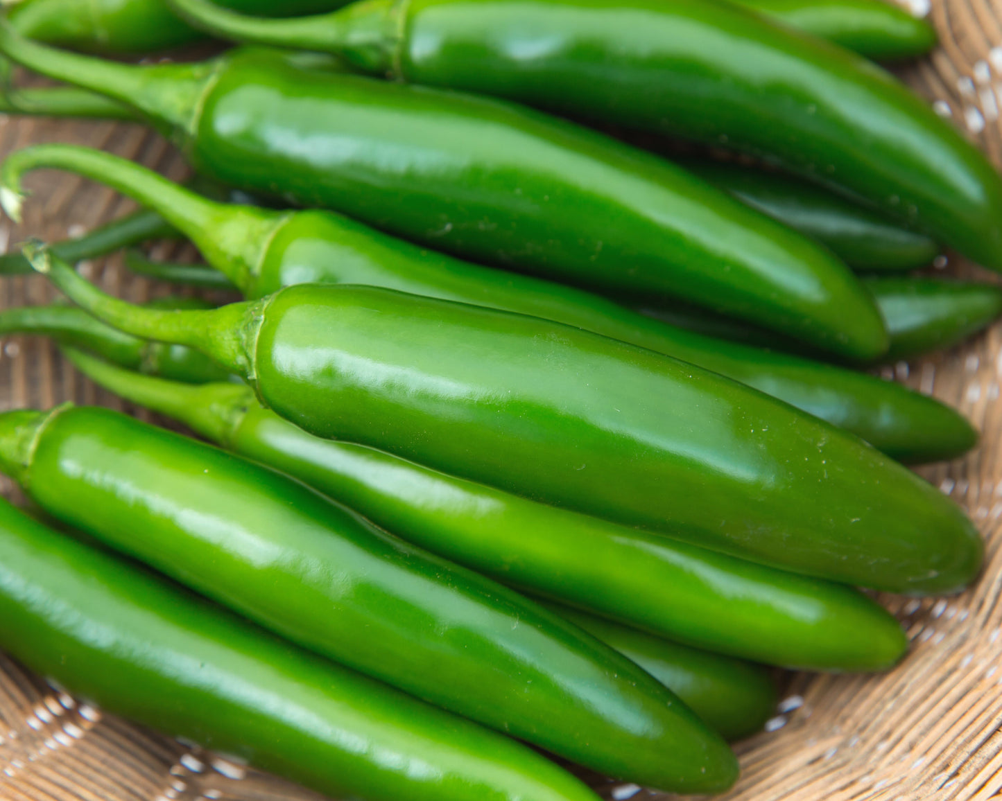 Flaming Jade Hybrid Pepper - Blessings Grow Meadows
