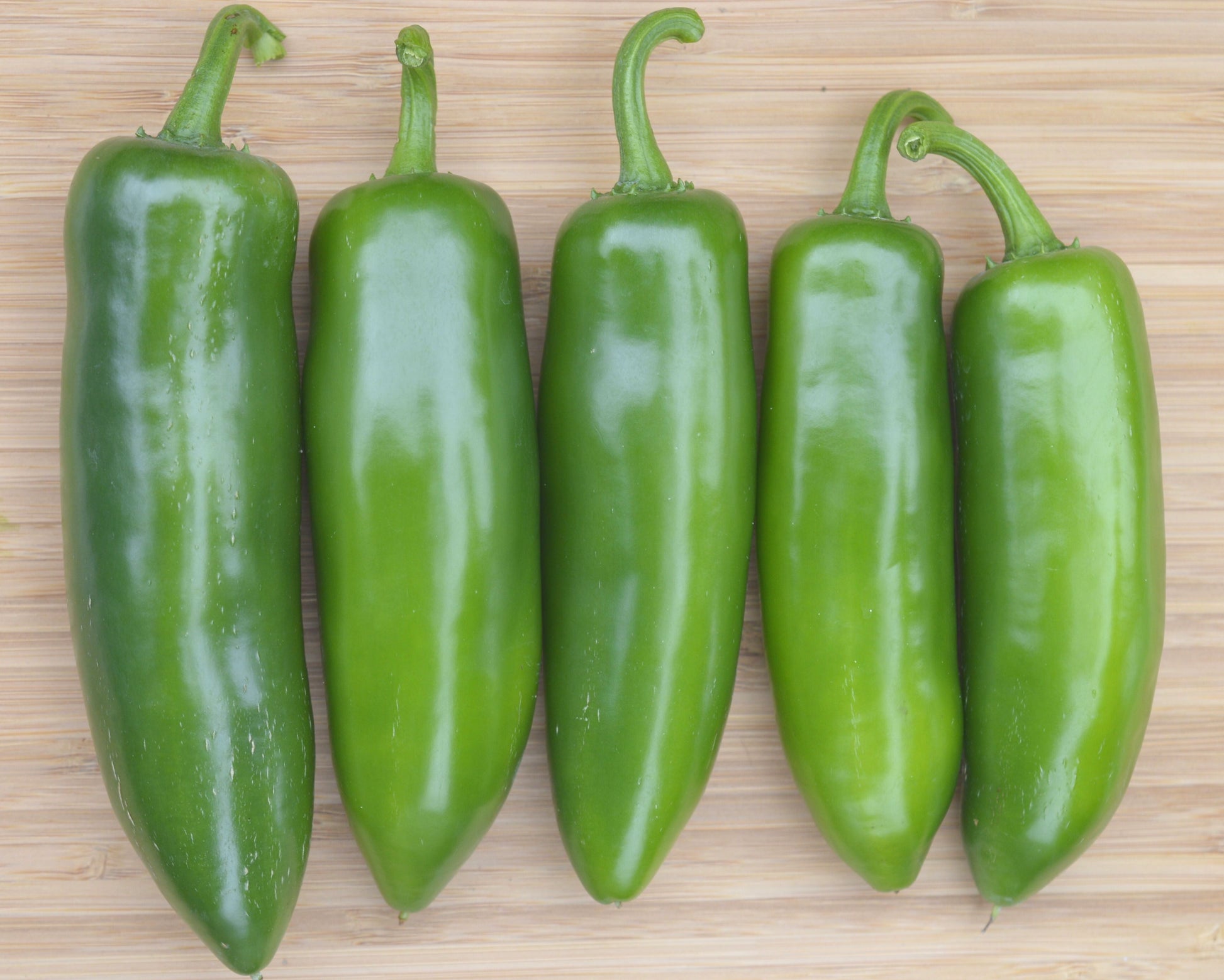 Fooled You Jalapeño Hybrid  Pepper Seeds - Blessings Grow Meadows