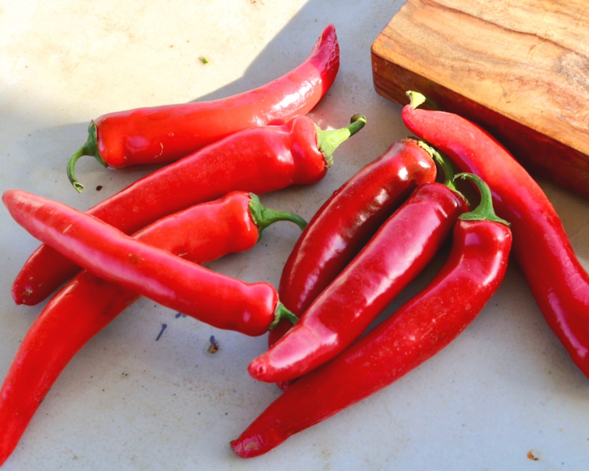 Garden Salsa Hybrid Hot Pepper Seeds - Blessings Grow Meadows