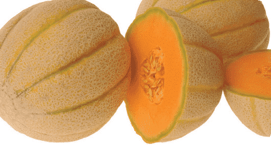 Halona Hybrid Melon Seeds - Blessings Grow Meadows