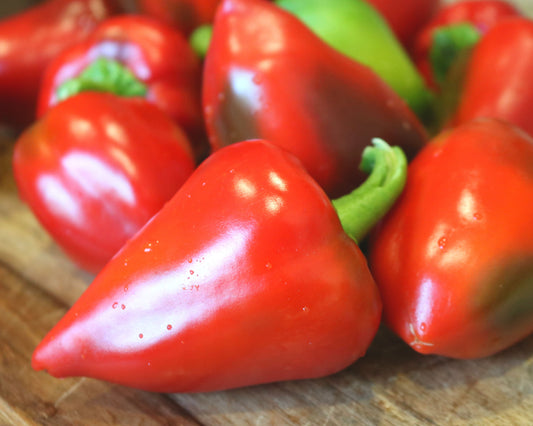 Pimiento Elite Hybrid Pepper Seeds - Blessings Grow Meadows