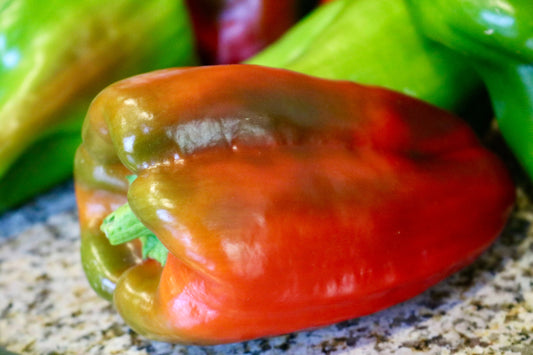 A close-up of a Big Bertha Hybrid pepper from Seeds 'n Such, showing its elongated shape and red-green coloring on a granite countertop, with more green and red peppers blurred in the background.