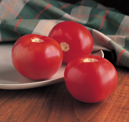 Bobcat Hybrid Tomato Seeds - Blessings Grow Meadows