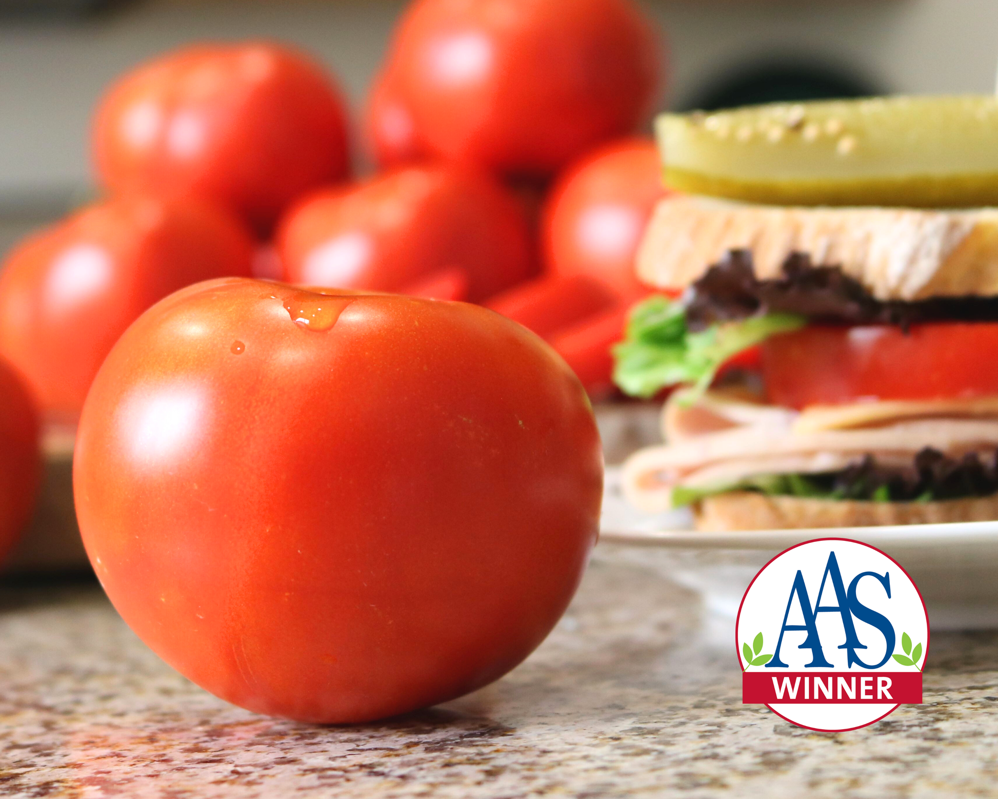 Celebrity Plus Hybrid Tomato Seeds - Blessings Grow Meadows