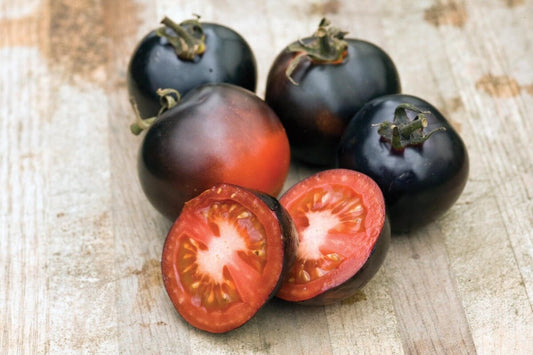 Indigo Rose Tomato Seeds - Blessings Grow Meadows