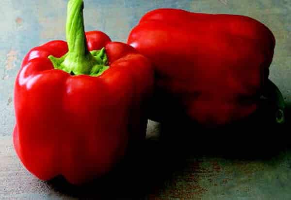 Red Bull Hybrid Pepper Seeds - Blessings Grow Meadows