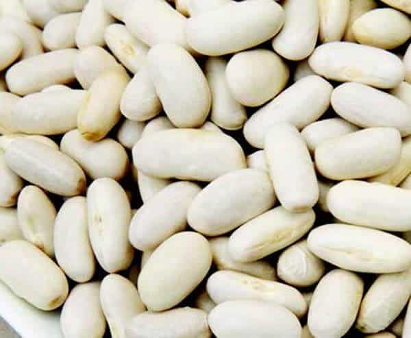 Cannellini - Blessings Grow Meadows