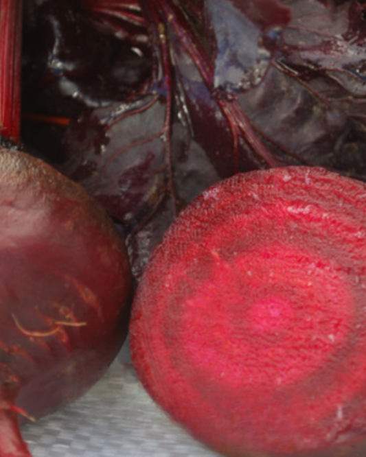 Packet of Seeds 'n Such Bull's Blood Beet Seeds showing 200 seeds in a colorful packet for planting.