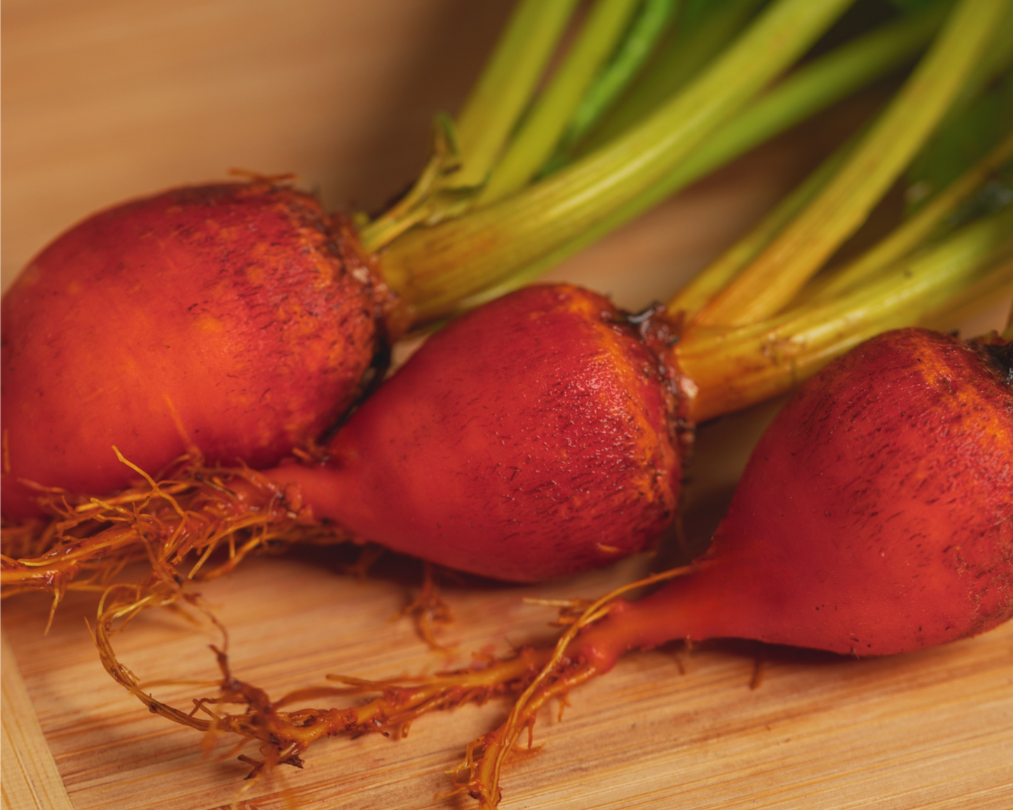 Golden Detroit Beet Seeds - Blessings Grow Meadows