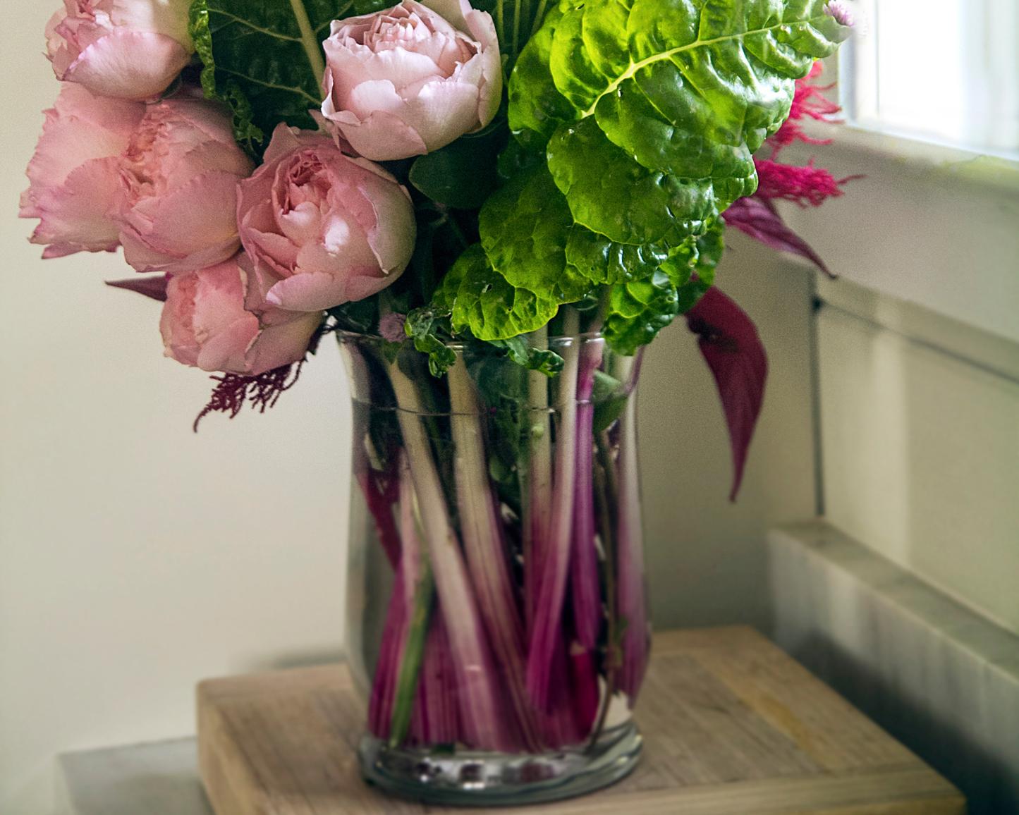 Peppermint Swiss Chard Seeds - Blessings Grow Meadows