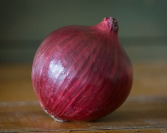 Red Nugent Hybrid Onion - Blessings Grow Meadows