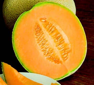 Hale's Best Jumbo Cantaloupe Seeds - Blessings Grow Meadows
