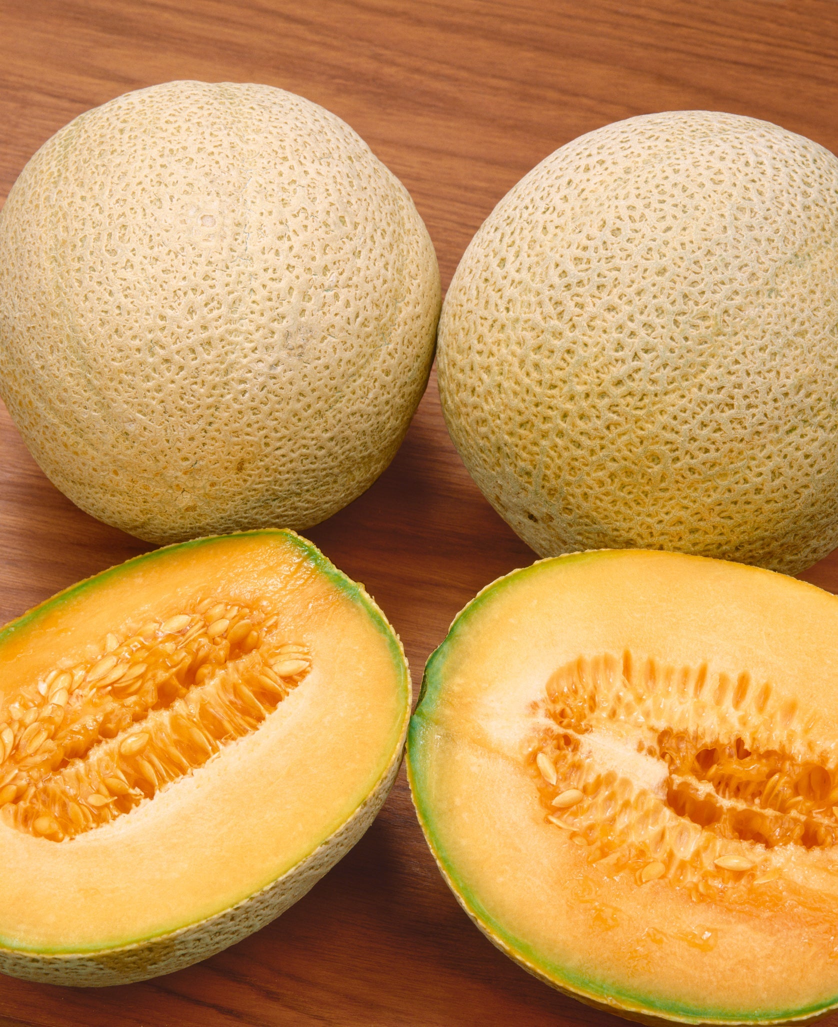 Honey Rock Melon Seeds - Blessings Grow Meadows