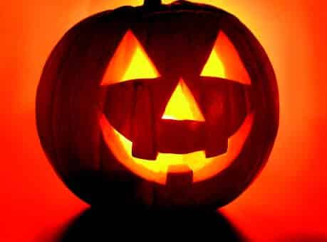 Jack-O-Lantern Pumpkin Seeds - Blessings Grow Meadows