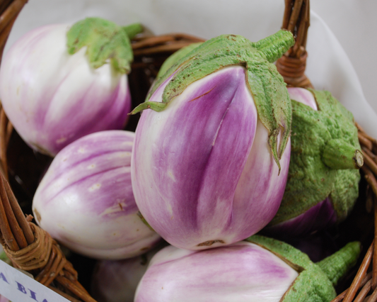 Rosa Bianca Eggplant Seeds - Blessings Grow Meadows