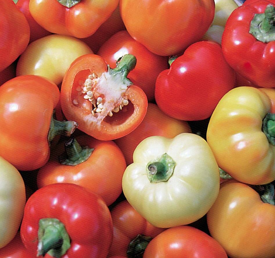 Alma Paprika Pepper Seeds - Blessings Grow Meadows