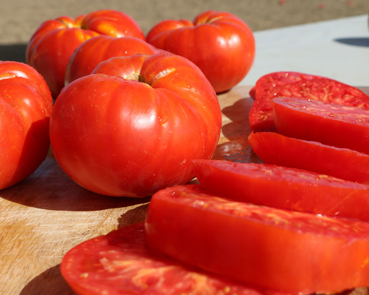 Several whole and sliced Beefmaster Hybrid Tomatoes from Seeds 'n Such are displayed on a wooden cutting board in bright sunlight, highlighting their vibrant red color, juicy texture, and crack-resistant qualities.