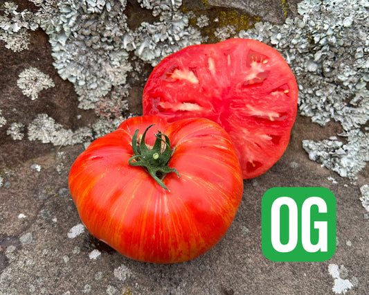 Beefy Red Tomato Seeds - Blessings Grow Meadows