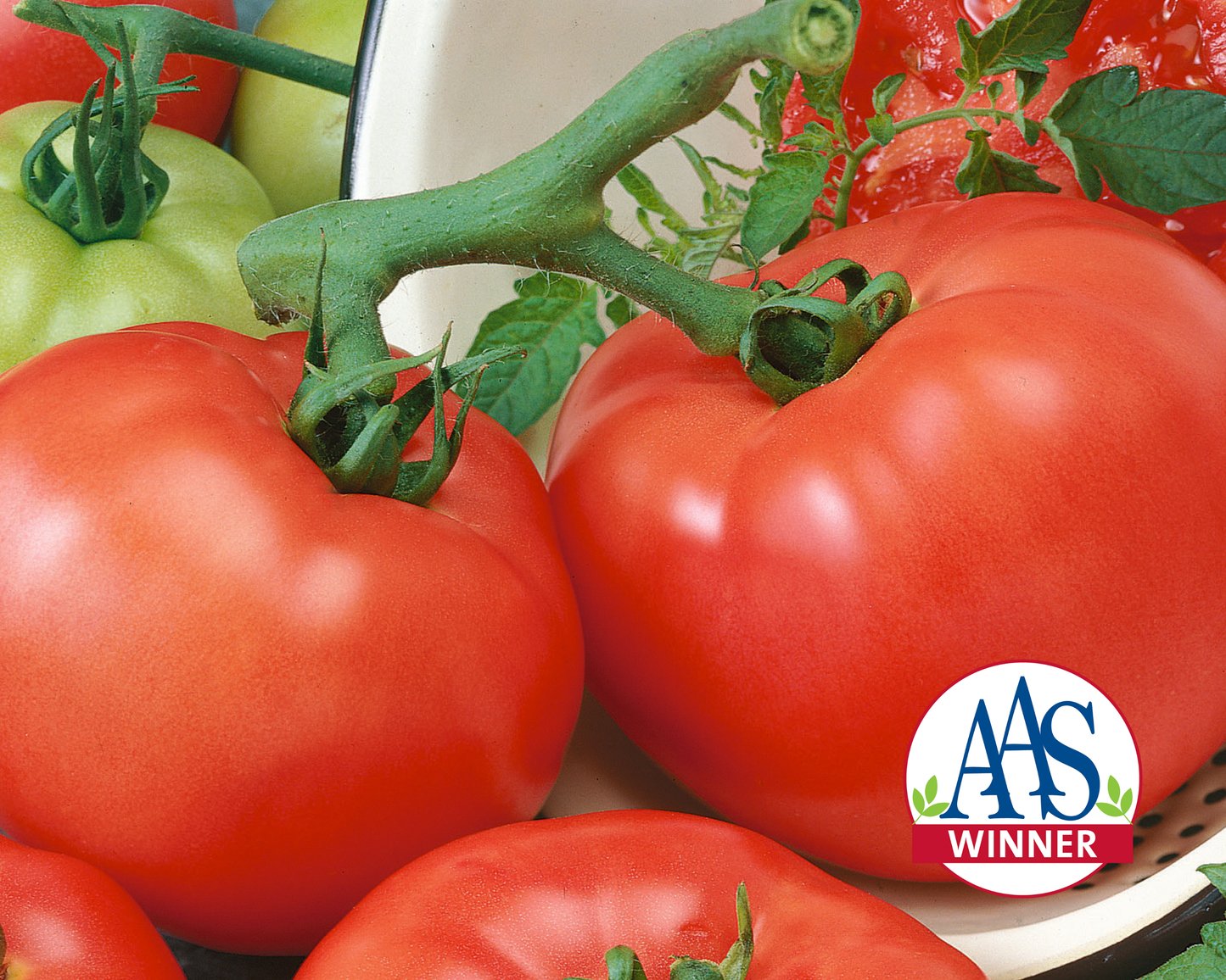 Chef's™ Choice Red Hybrid Tomato Seeds - Blessings Grow Meadows