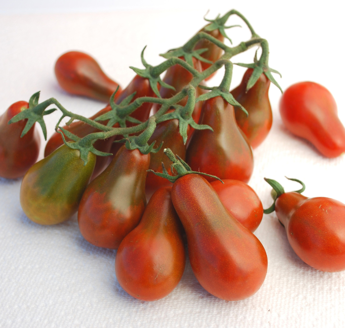 Packet of Seeds 'n Such Chocolate Pear Tomato Seeds showing 25 to 30 seeds in a colorful packet.