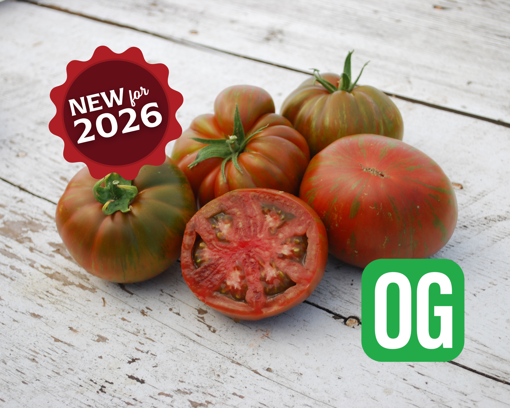 Large Barred Boar Organic Tomato Seeds - Blessings Grow Meadows