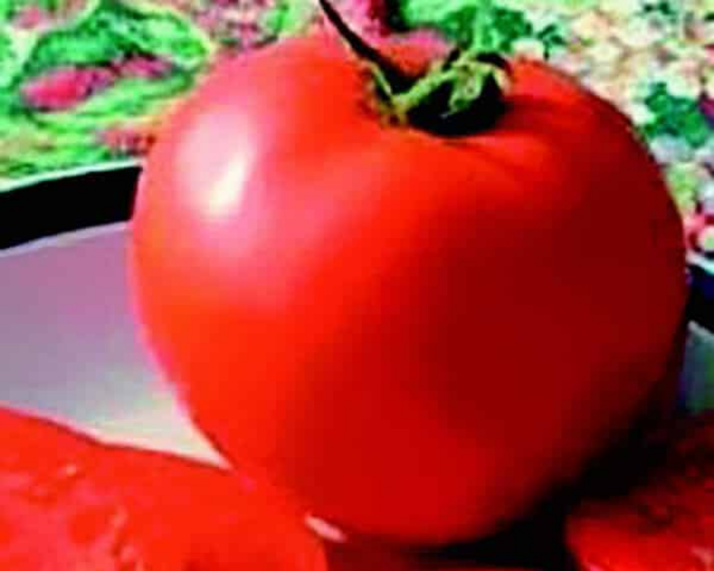 Legend Tomato Seeds - Blessings Grow Meadows